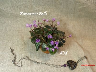 Сенполии Kimonsons Bells