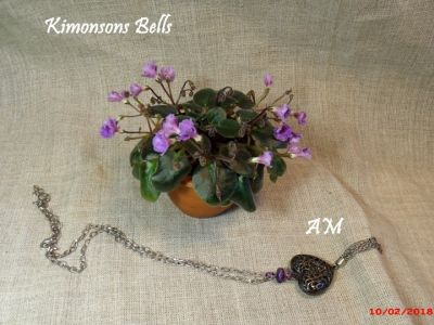 Сенполии Kimonsons Bells
