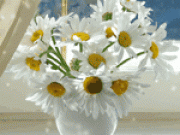 Сарапина Юлия